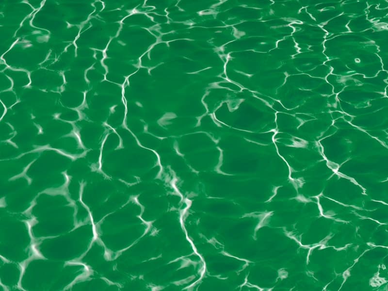 Avant — Eau verte → cristalline